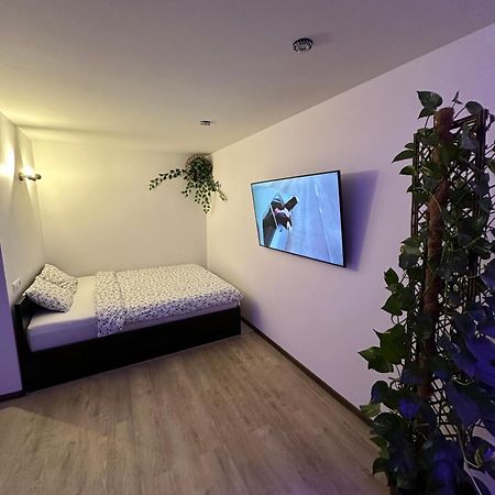 Studio Apartment Валмиера Экстерьер фото
